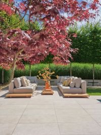 Aspen, image 5
